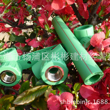 乒乓球樊振东