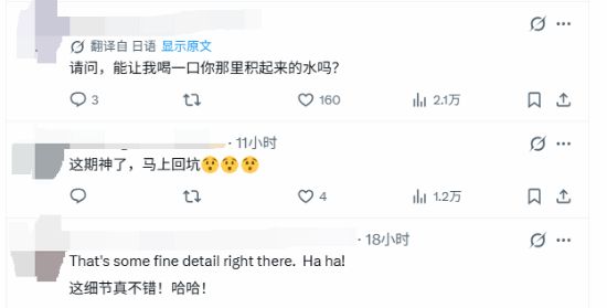 独立真空包装：刘老杆正宗东北黄糯玉米8